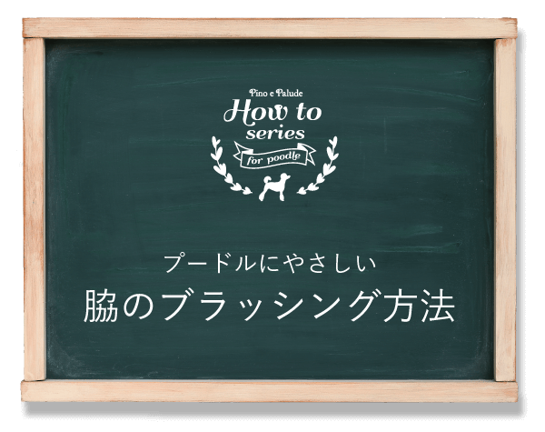 プードルにやさしい　脇のブラッシング方法